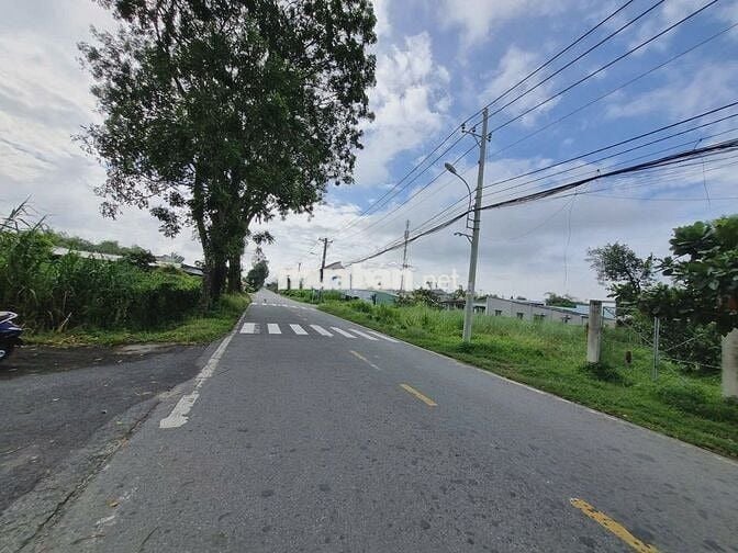 ✅Ngộp: đất MT Cây Trôm Mỹ Khánh 140m², SHR, giá 1.65 tỷ thương lượng