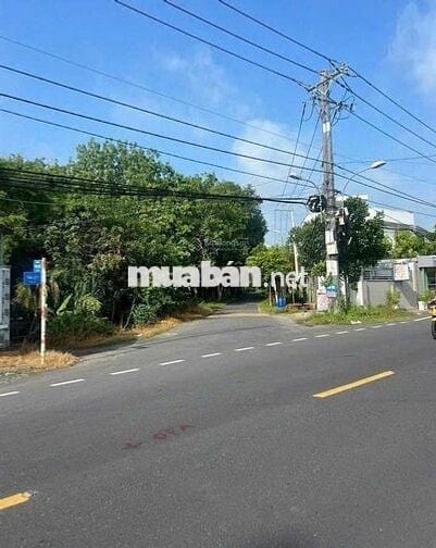 ✅Đất ngộp 1/ Cây Trôm Mỹ Khánh 170m², cách MT 200m, giá 1.78 tỷ TL