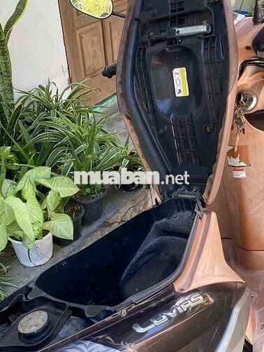 Bán xe chính chủ