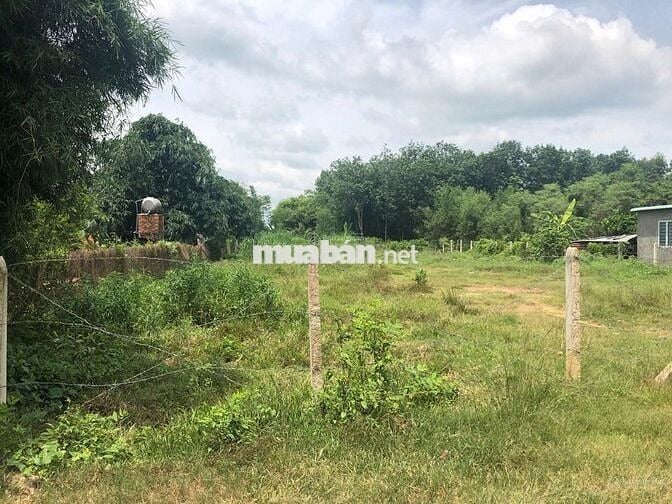 CẦN BÁN LÔ ĐẤT 1500M2 TRẢNG BÀNG TÂY NINH GIÁ 1 TỶ2 THƯƠNG LƯỢNG