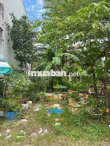 Bán nền tái định cư kdc Cửu Long