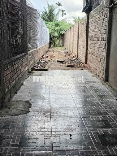 Chính chủ cần bán gấp đất đang trồng dừa