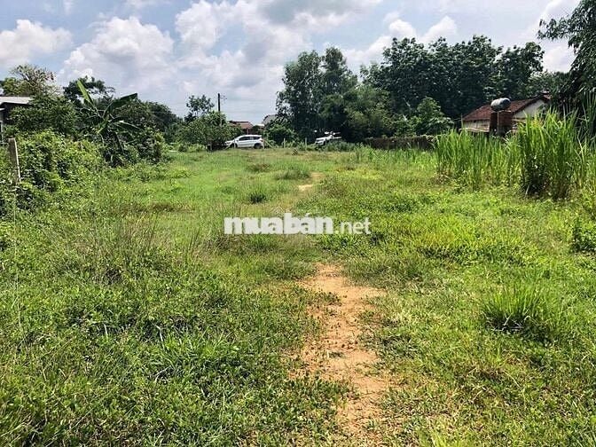 CẦN BÁN LÔ ĐẤT 1500M2 TRẢNG BÀNG TÂY NINH GIÁ 1 TỶ2 THƯƠNG LƯỢNG