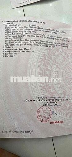 CHỦ NGỘP CẦN BÁN TRONG THÁNG D.TÍCH 20x35Mét  SỔ RIÊNG.