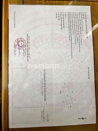 Chính chủ cần bán gấp đất đang trồng dừa