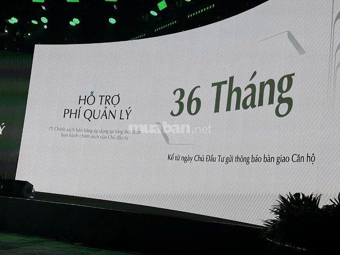 BÁN CĂN HỘ 1 ngủ +L31.1-04.03 Lumier Orient Pearl Vinhomes Ocean Park1