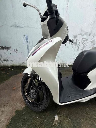 sh-150-2022-xe zin chính rút hồ sang tên toàn quốc