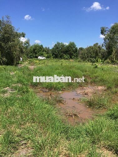 Bán đất mặt tiền Tam Tân, đối diện sân gofl West Lake,2.35 tỷ