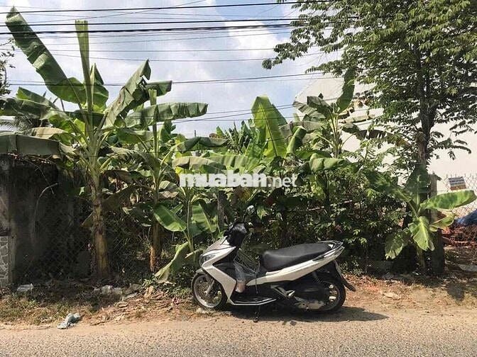 BÁN MẶT TIỀN ĐẸP TẠ THỊ PHI KẾ BỆNH NHI ĐỒNG SAU LƯNG ĐH FPT