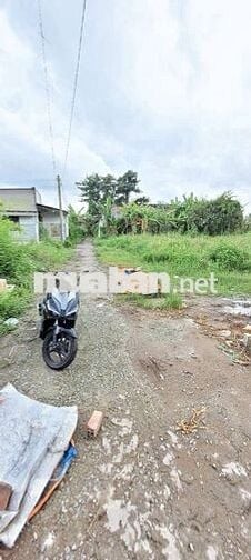 Đất Thổ Cư Lộ XE HƠI Giá Rẻ Gần Trung Tâm TP VĨNH LONG OK