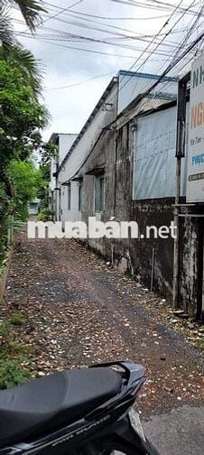 Đất Thổ Cư Lộ XE HƠI Giá Rẻ Gần Trung Tâm TP VĨNH LONG OK