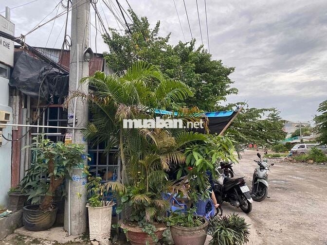 Bán nhà nát mặt tiền cao lỗ - nguyễn văn linh, bình hưng, bình chánh