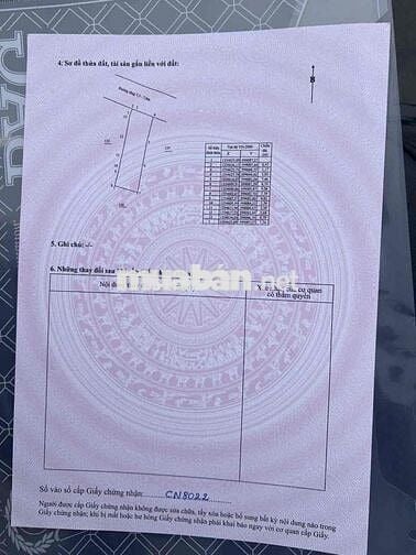 Đất  Mặt Tiền Thái Thông Nha Trang Sổ Đỏ Riêng Phù Hợp Kinh Doanh