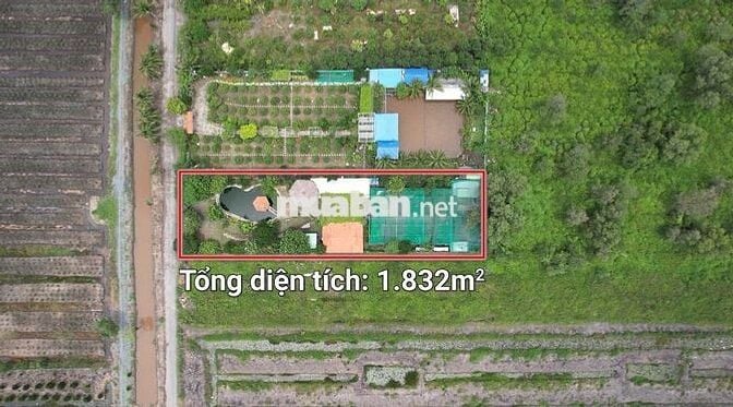 Nhà vườn đẹp như khu nghỉ dưỡng - Gần đường Vườn Thơm