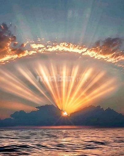 Căn hộ Dịch vụ MT Ng V Quá 4.8x29m đúc 7 tấm có 20 phòng giá 18.5 tỷ 