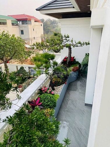 🌸 1. TIỂU CẢNH BAN CÔNG – KHÔNG GIAN NHỎ, CẢM XÚC LỚN