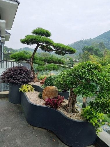 🌸 1. TIỂU CẢNH BAN CÔNG – KHÔNG GIAN NHỎ, CẢM XÚC LỚN