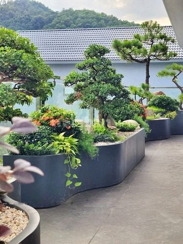 🌸 1. TIỂU CẢNH BAN CÔNG – KHÔNG GIAN NHỎ, CẢM XÚC LỚN