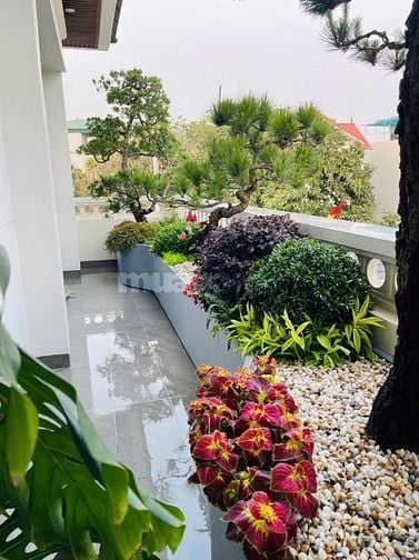 🌸 1. TIỂU CẢNH BAN CÔNG – KHÔNG GIAN NHỎ, CẢM XÚC LỚN