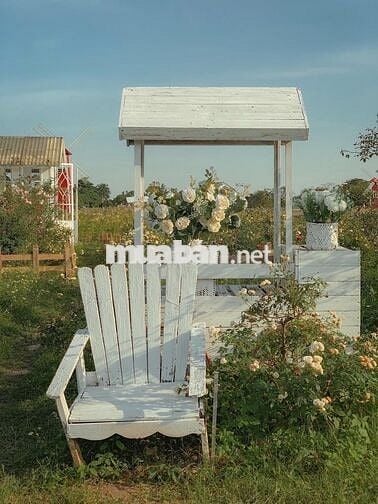 Bán trang trại, khu nghỉ dưỡng tại Đông Anh, Hà Nội diện tích 5000m2