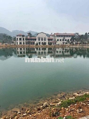 Cần Bán lô đất hàng f0 tại Vĩnh Yên ,  DT 50,8m2 , gần hồ Đại Lải