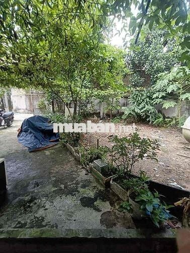 NHÀ NÁT 8X15 NGAY LÝ THƯỜNG KIỆT THỊ TRẤN HÓC MÔN 133M2 GIÁ SIÊU RẺ