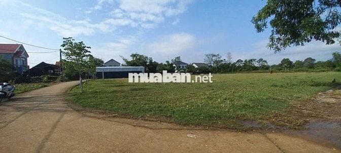 💥 ĐẤT VÀNG TRUNG TÂM XÃ SÓC SƠN – MẶT TIỀN 7,45M – NGÕ Ô TÔ 💥