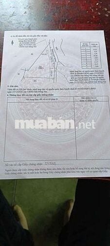 50X20 MÉT BÊ TÔNG, VƯỜN TRÁI CÂY SÔNG RAY CÓ SUỐI