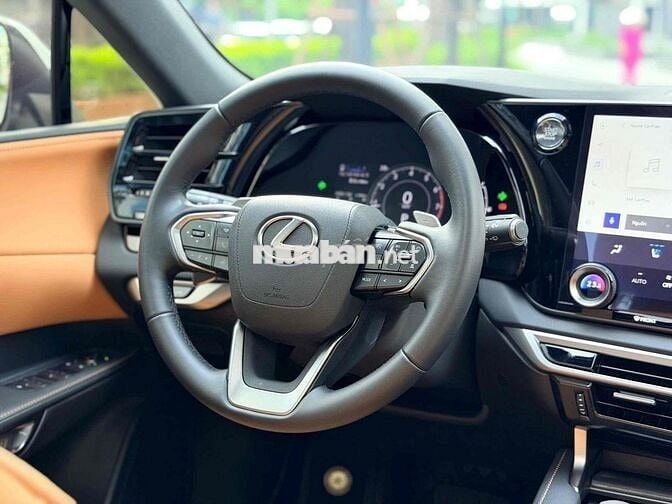 LEXUS_RX350_Premium Model 2025 Bank 90%