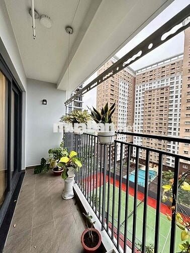 Hoa Hậu The GLORY 1PN - Free PQL 12Tr