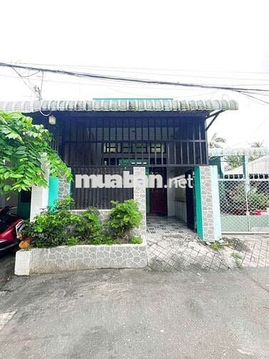 Bán nhà cấp 4 có sân vườn diện tích rộng tổng 297,9m2 - Số nhà 29P/3