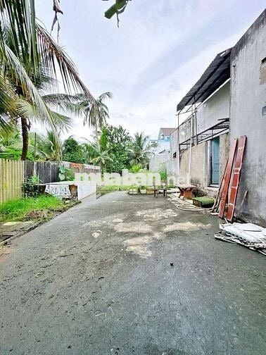 Bán nhà cấp 4 có sân vườn diện tích rộng tổng 297,9m2 - Số nhà 29P/3