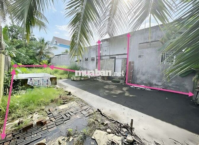 Bán nhà cấp 4 có sân vườn diện tích rộng tổng 297,9m2 - Số nhà 29P/3