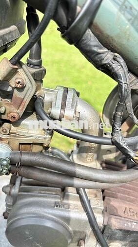 cup 50cc nguyên zin rất đẹp cho mấy bạn nhỏ đi hoc