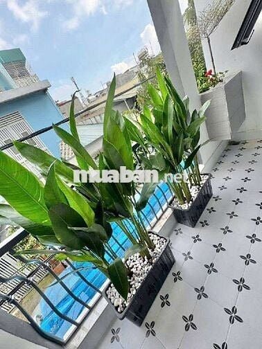 🔥 SIÊU PHẨM BÌNH TÂN – GẦN AEON TÂN PHÚ - 4M x 14M ,2PN - Giá 5,95 T