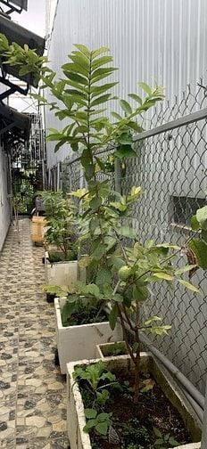 Bán nhà Khu Hà Giang TP Bảo Lộc