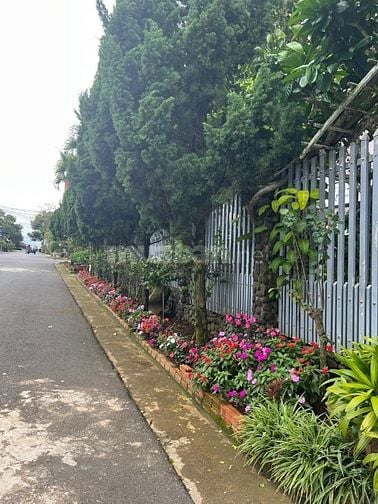 Bán nhà Khu Hà Giang TP Bảo Lộc