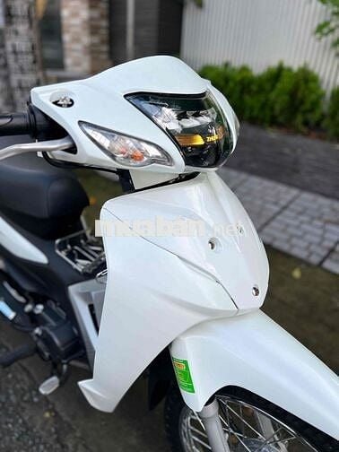 Wave Kiểng zin cứng