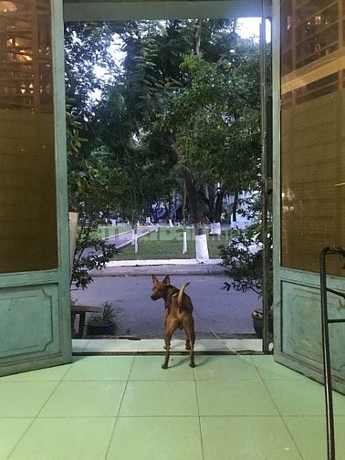 Chính chủ bán nhà TpHCM, mặt tiền đường, trước mặt nhà là công viên