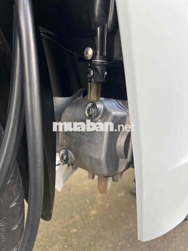 Wave Kiểng zin cứng