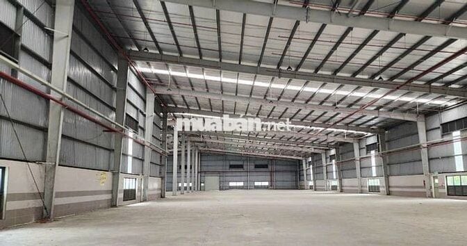 CHO THUÊ KHO XƯỞNG BÌNH CHÁNH 1600M2 GIÁ 60TR, ĐIỆN 3 PHA, PCCC VÁCH