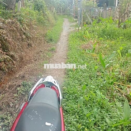 chính chủ cần tiền  trả nợ  nên cắn răng bán rẽ lô đất