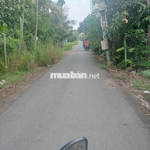 chính chủ cần tiền  trả nợ  nên cắn răng bán rẽ lô đất