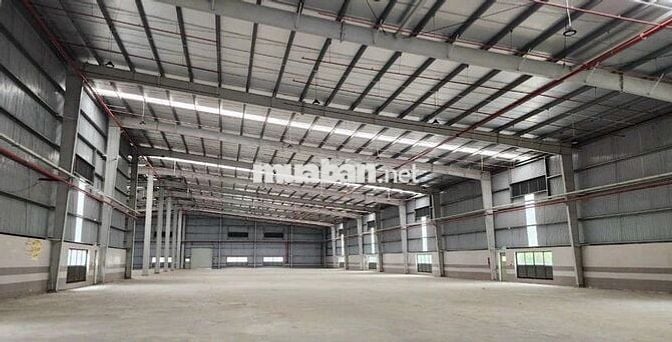 CHO THUÊ KHO XƯỞNG BÌNH CHÁNH 1600M2 GIÁ 60TR, ĐIỆN 3 PHA, PCCC VÁCH