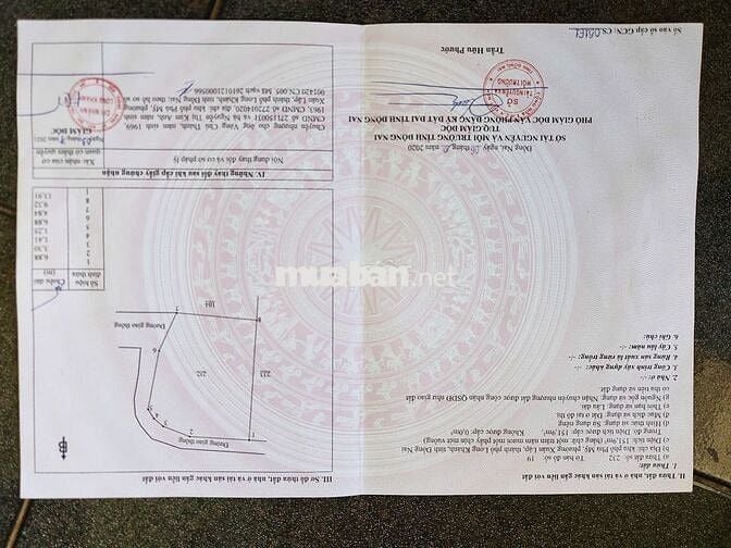 Chính Chủ Bán Đất gần chợ Xuân Lập