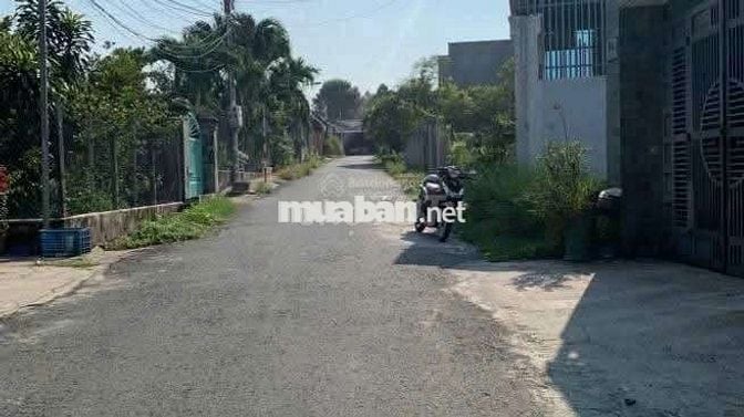 BÁN ĐẤT BÊN HÔNG CHỢ CHÁNH MỸ – THỦ DẦU MỘT

📍 Cách chợ vài bước,