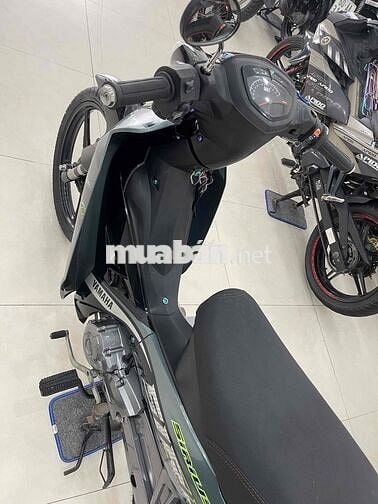 si kiểng đờ cao đẹp keng máy êm