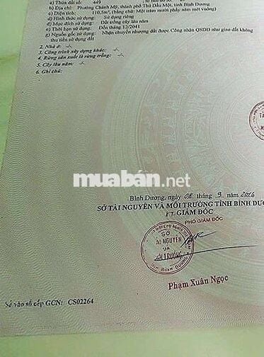 BÁN ĐẤT BÊN HÔNG CHỢ CHÁNH MỸ – THỦ DẦU MỘT

📍 Cách chợ vài bước,