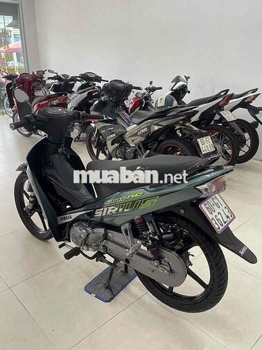 si kiểng đờ cao đẹp keng máy êm