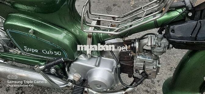 Honda Super Cub 50 81 Xanh lá